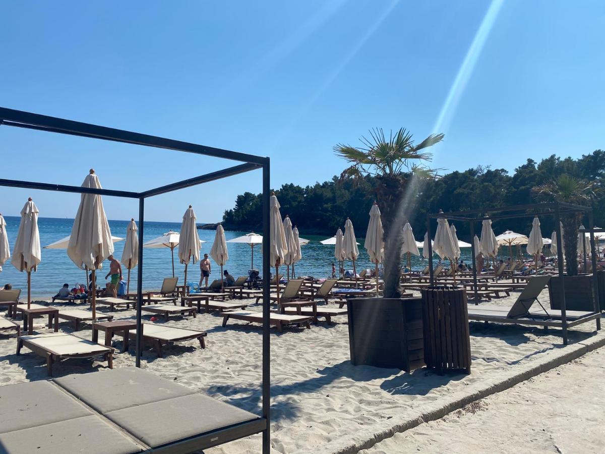 Apartments Villa Viktoria Tivat Bagian luar foto