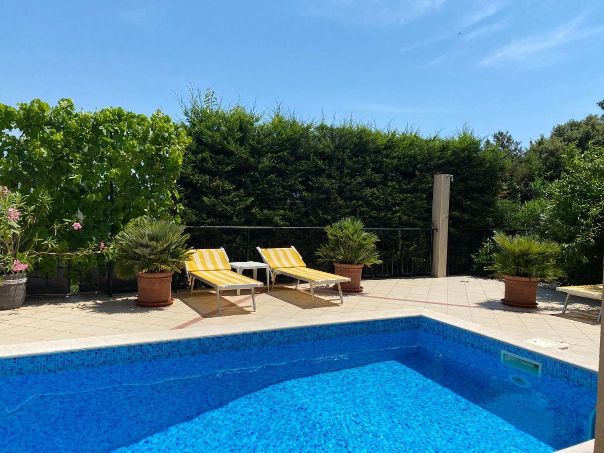 Apartments Villa Viktoria Tivat Bagian luar foto