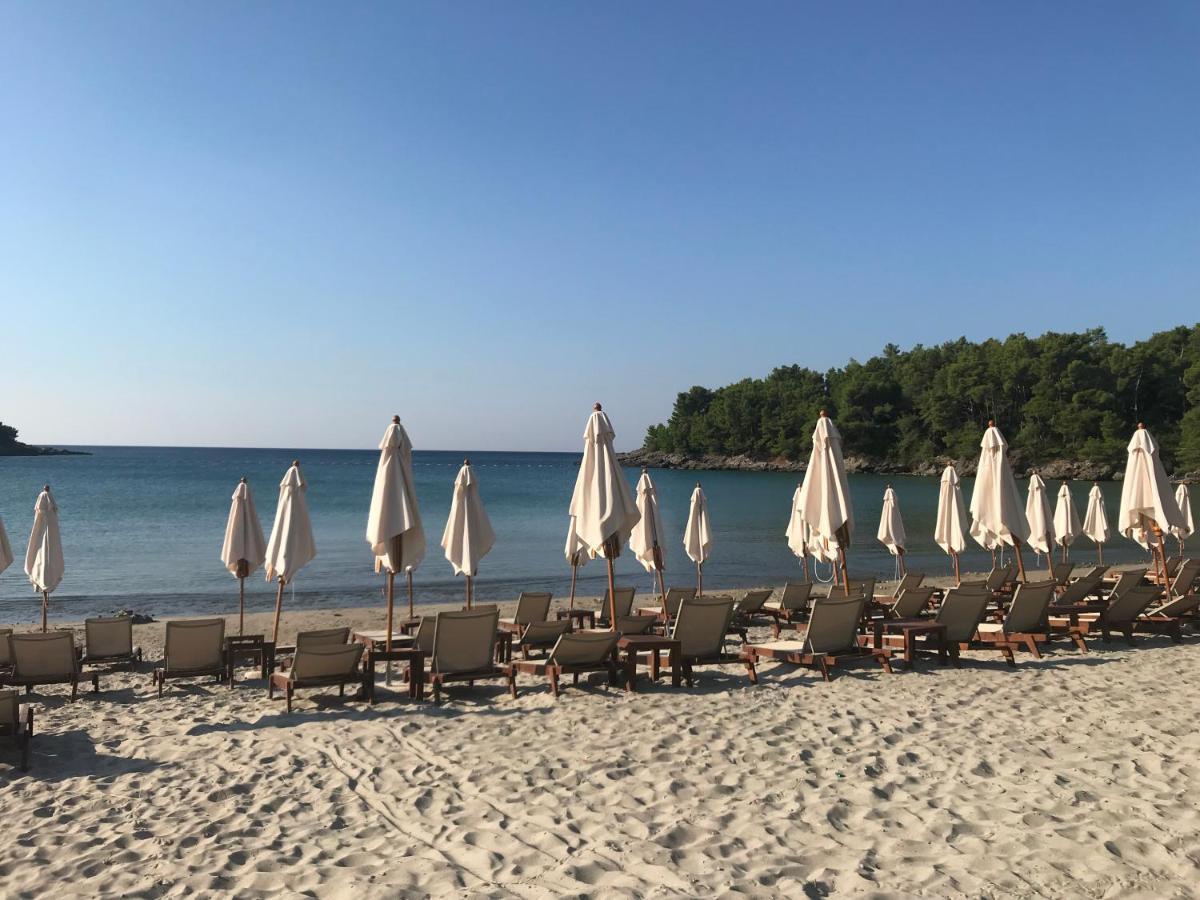 Apartments Villa Viktoria Tivat Bagian luar foto